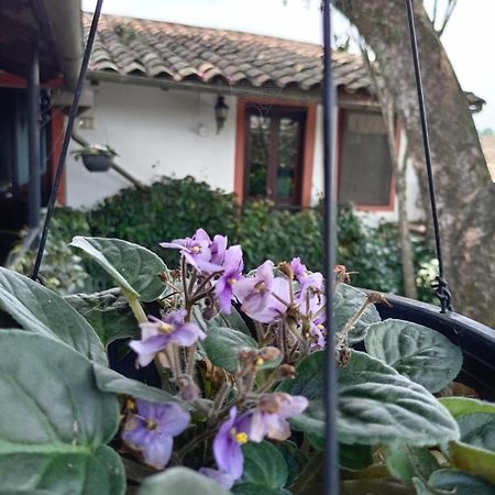 Hotel Boutique Casabella โกอาเตเปก ภายนอก รูปภาพ